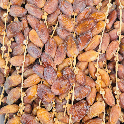 তিউনিশিয়ান ডাল খেজুর (Tunisian Deglet Nour Dates) 1kg - Image 2